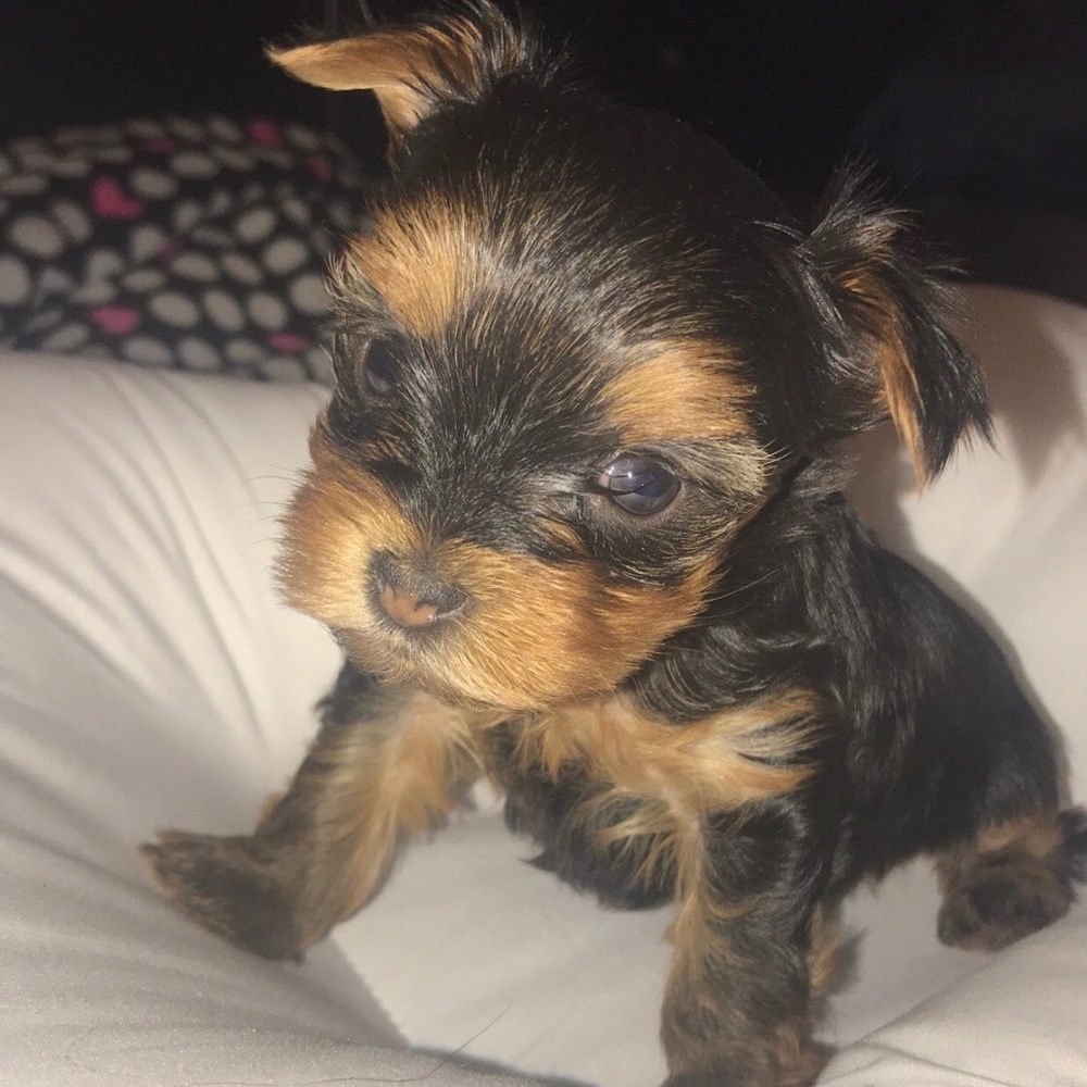 💕Baby GiGi💕